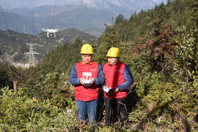 遂川縣供電公司采用無人機巡檢效率顯著提升(圖1)